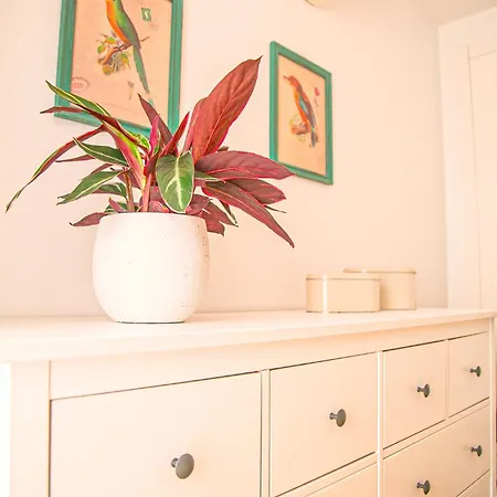 Appartement The Bonsai - Glamorous Chiado *