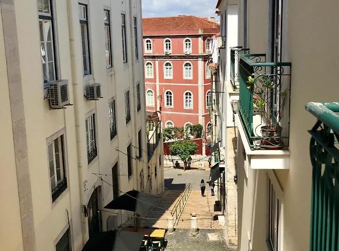 Daire The Bonsai - Glamorous Chiado