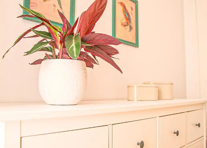 Appartement The Bonsai - Glamorous Chiado *